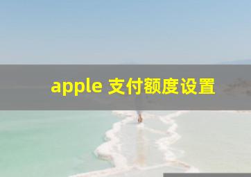 apple 支付额度设置